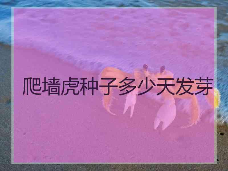 爬墙虎种子多少天发芽