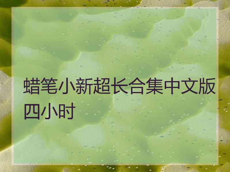 蜡笔小新超长合集中文版四小时