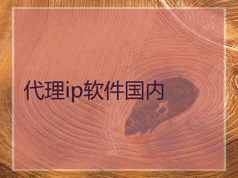 代理ip软件国内