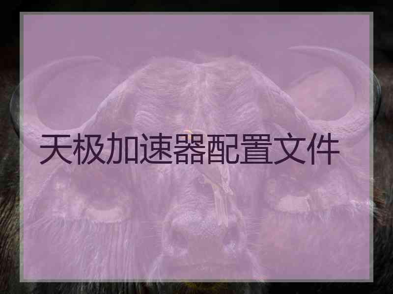 天极加速器配置文件