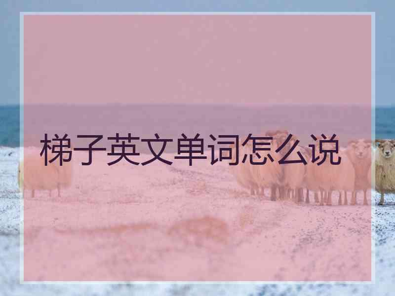 梯子英文单词怎么说