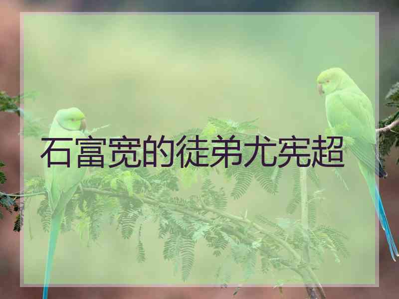 石富宽的徒弟尤宪超
