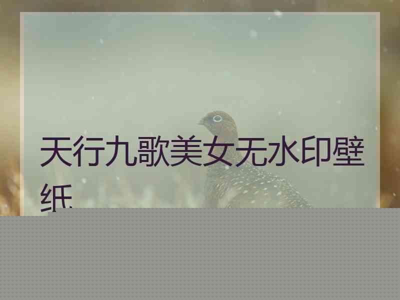 天行九歌美女无水印壁纸