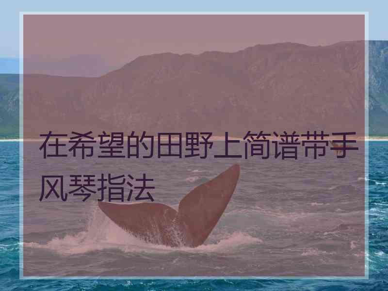 在希望的田野上简谱带手风琴指法