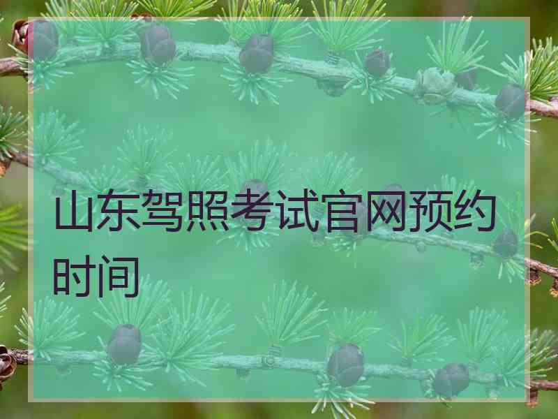 山东驾照考试官网预约时间