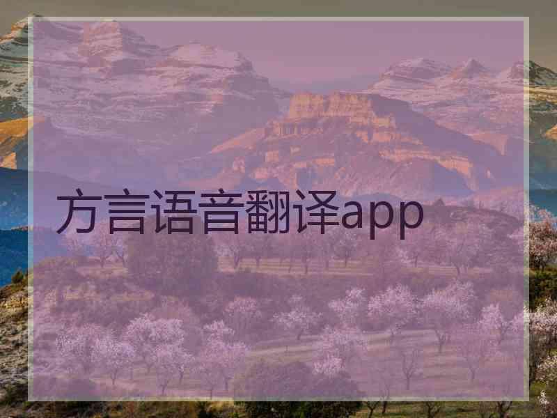 方言语音翻译app