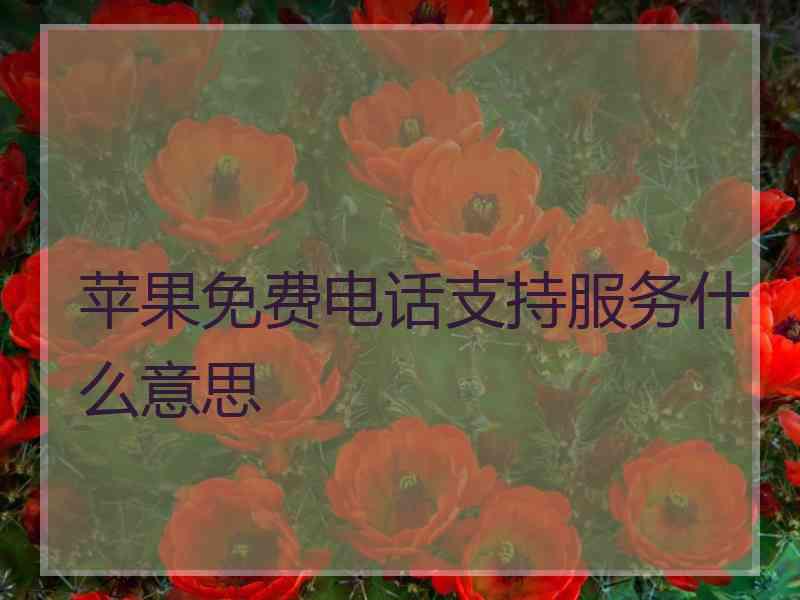 苹果免费电话支持服务什么意思