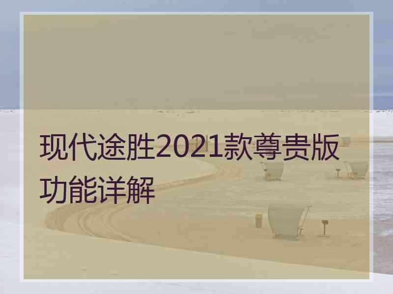 现代途胜2021款尊贵版功能详解
