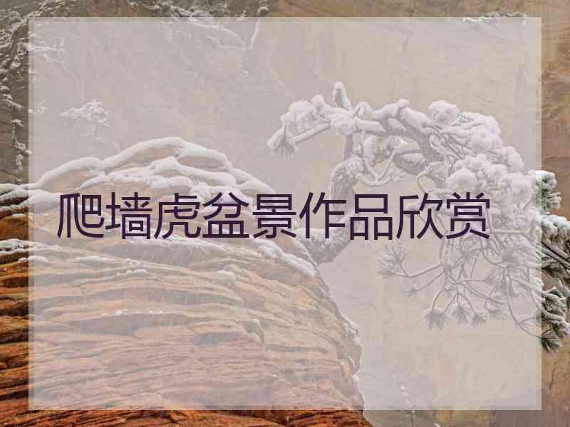 爬墙虎盆景作品欣赏