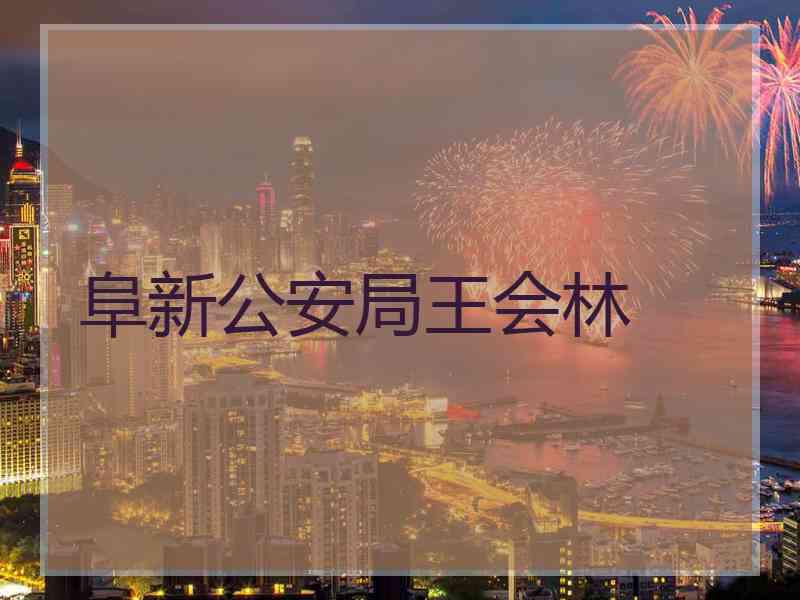 阜新公安局王会林