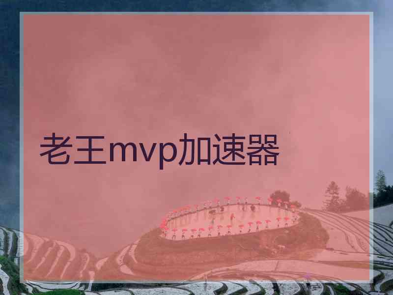 老王mvp加速器