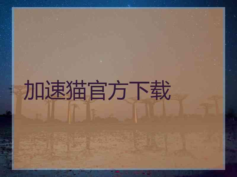加速猫官方下载