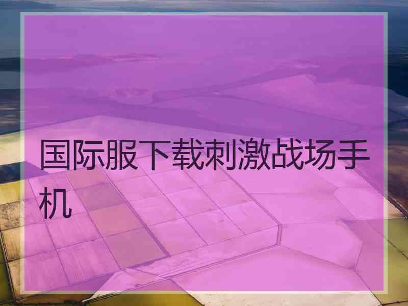 国际服下载刺激战场手机