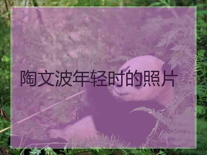 陶文波年轻时的照片