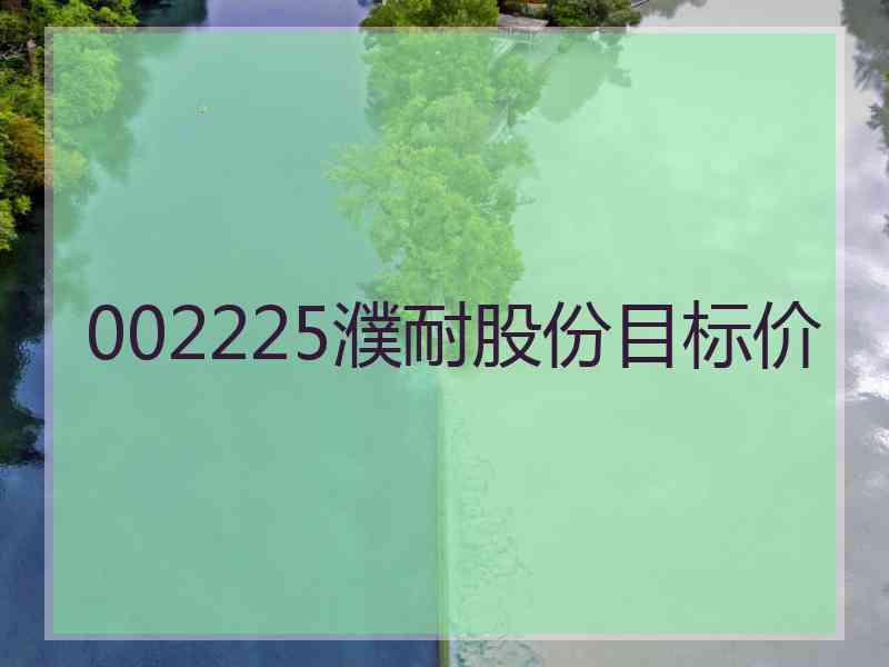 002225濮耐股份目标价