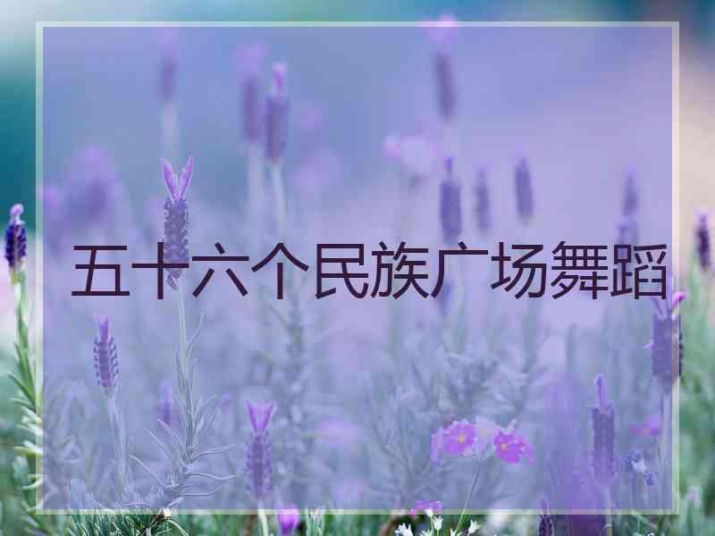 五十六个民族广场舞蹈
