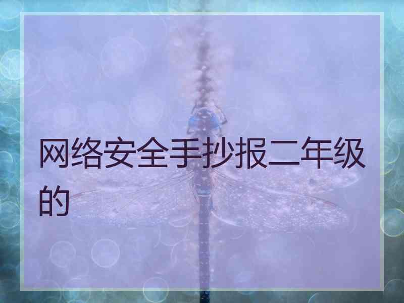网络安全手抄报二年级的