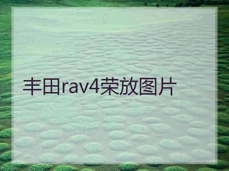 丰田rav4荣放图片