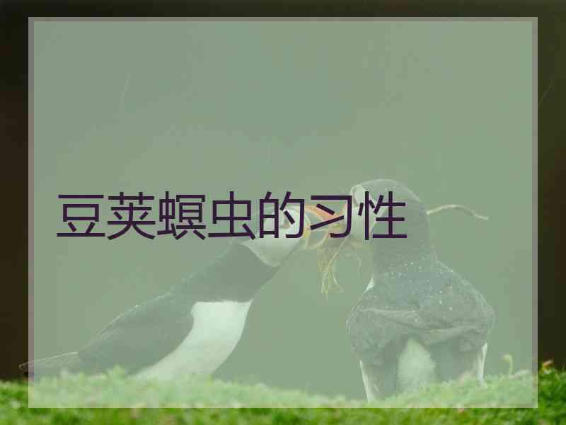 豆荚螟虫的习性