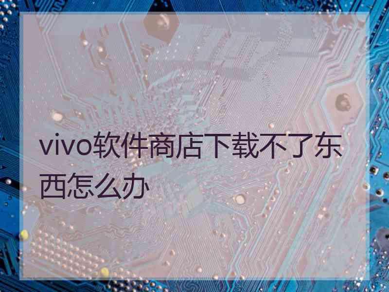 vivo软件商店下载不了东西怎么办