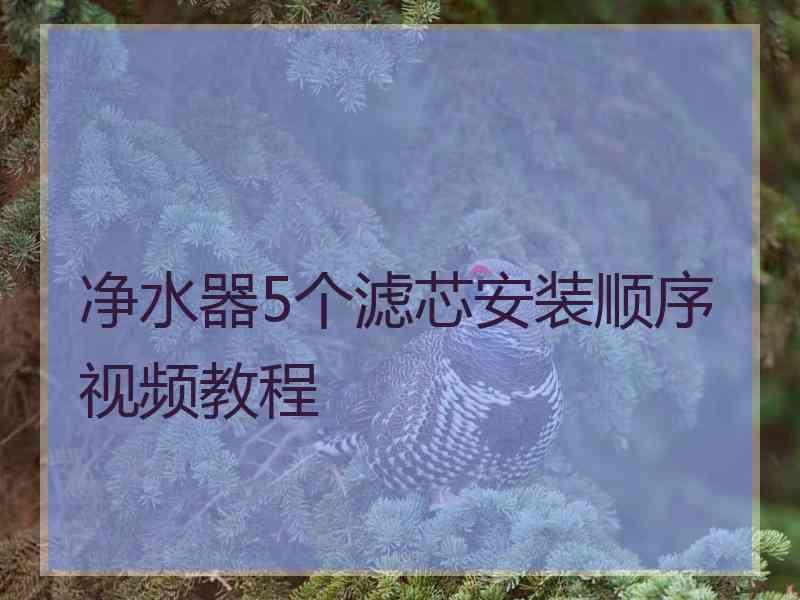 净水器5个滤芯安装顺序视频教程
