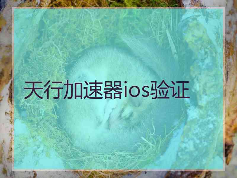 天行加速器ios验证