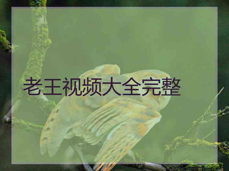 老王视频大全完整