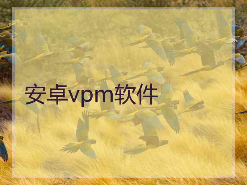 安卓vpm软件