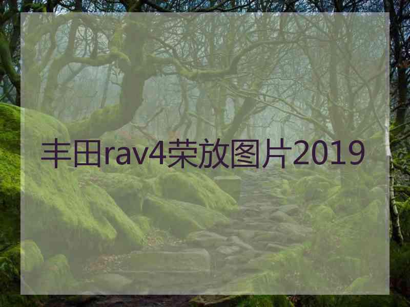 丰田rav4荣放图片2019