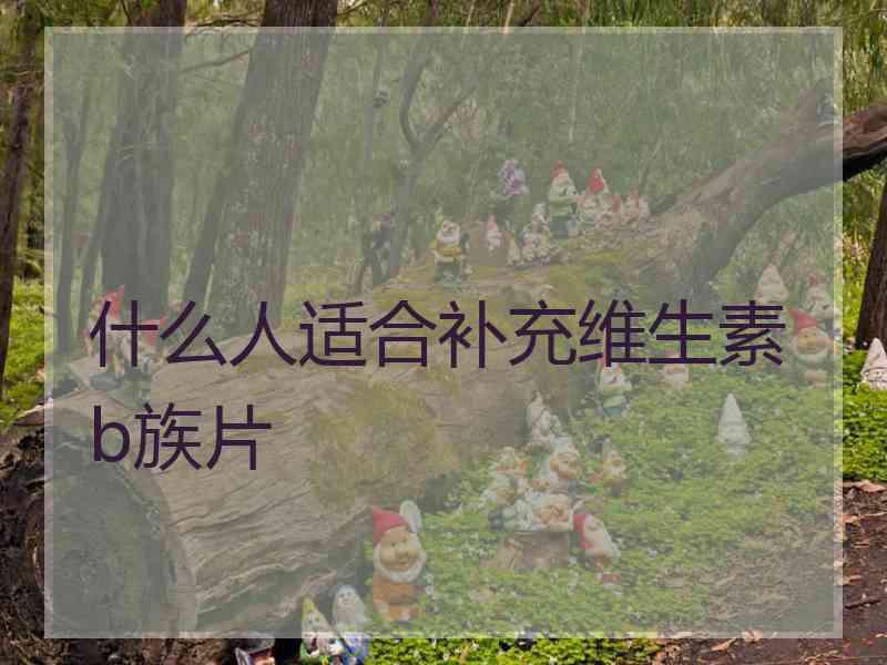 什么人适合补充维生素b族片