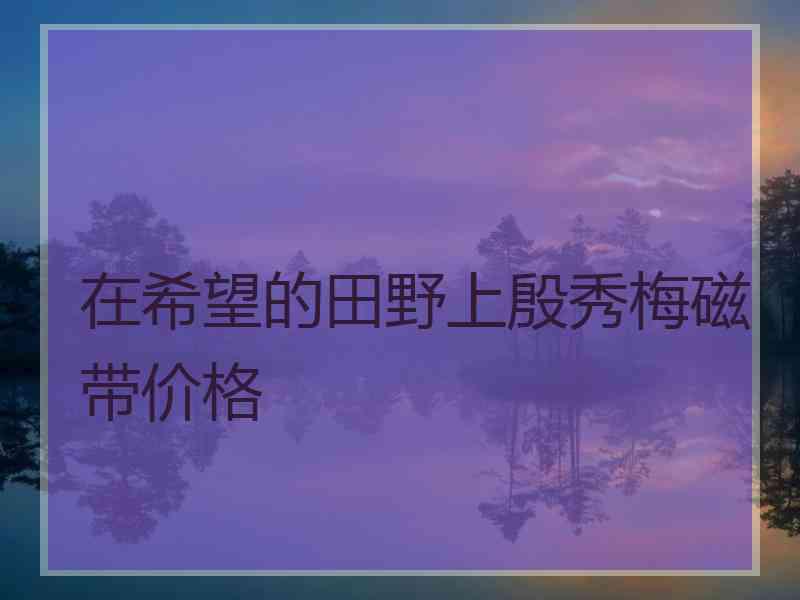 在希望的田野上殷秀梅磁带价格