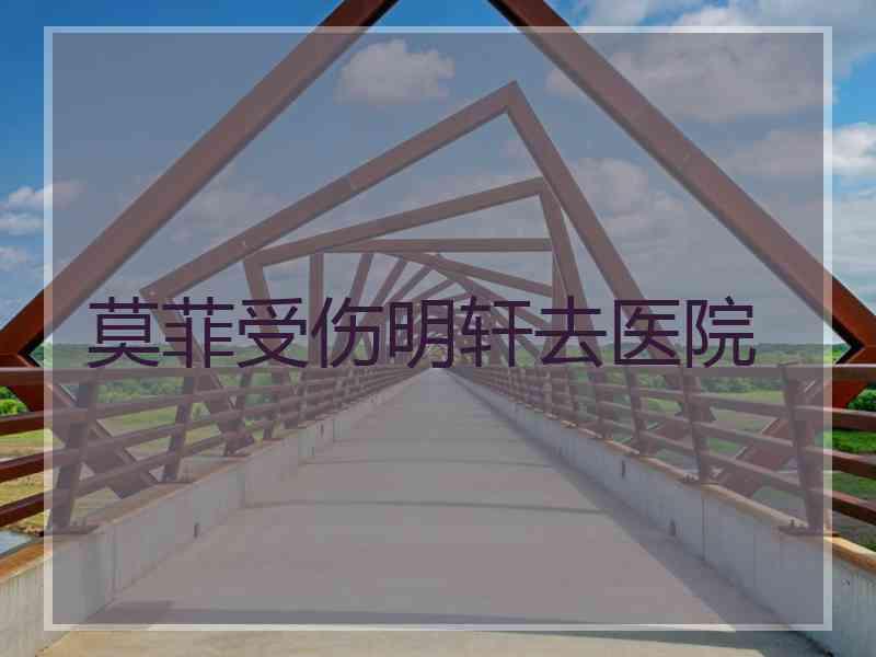 莫菲受伤明轩去医院