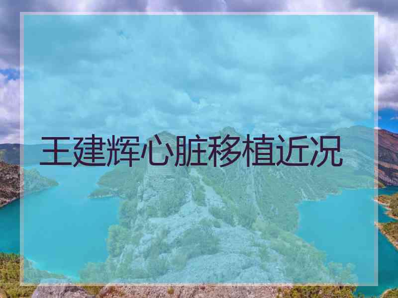 王建辉心脏移植近况