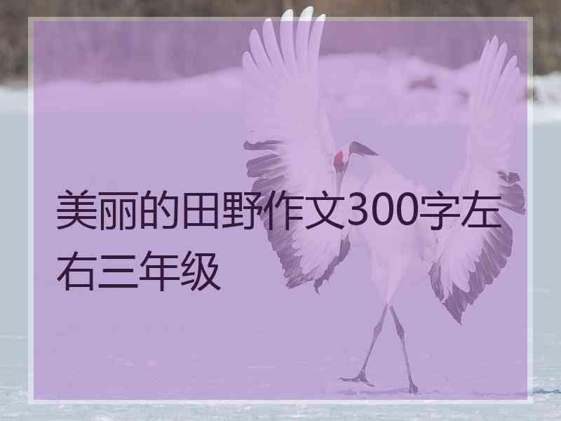美丽的田野作文300字左右三年级