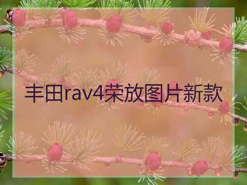 丰田rav4荣放图片新款