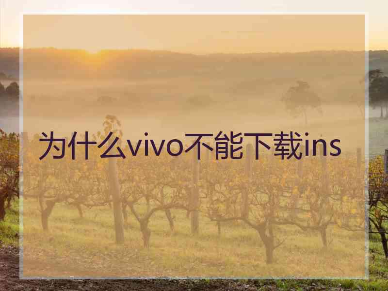 为什么vivo不能下载ins