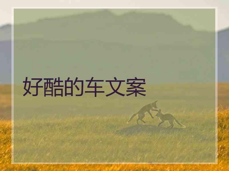 好酷的车文案