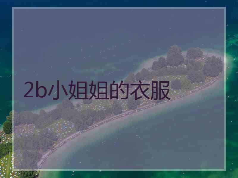 2b小姐姐的衣服