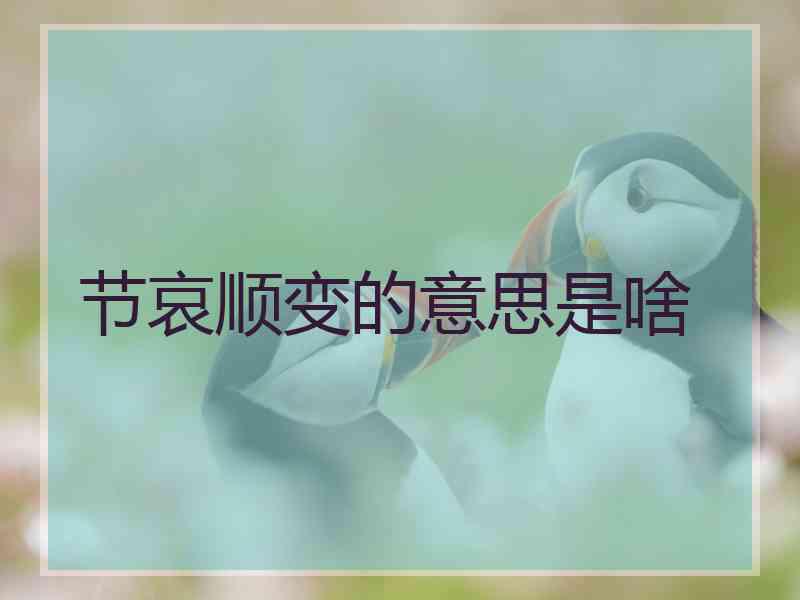 节哀顺变的意思是啥