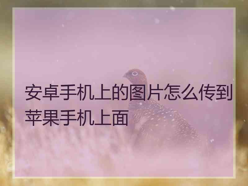 安卓手机上的图片怎么传到苹果手机上面