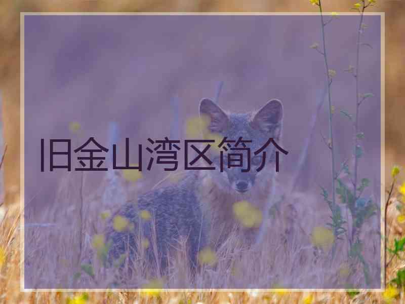 旧金山湾区简介