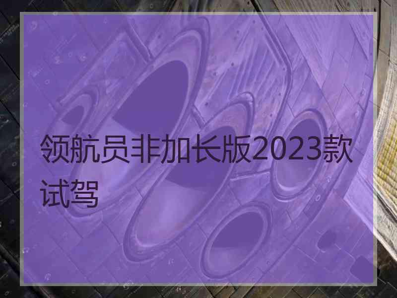 领航员非加长版2023款试驾