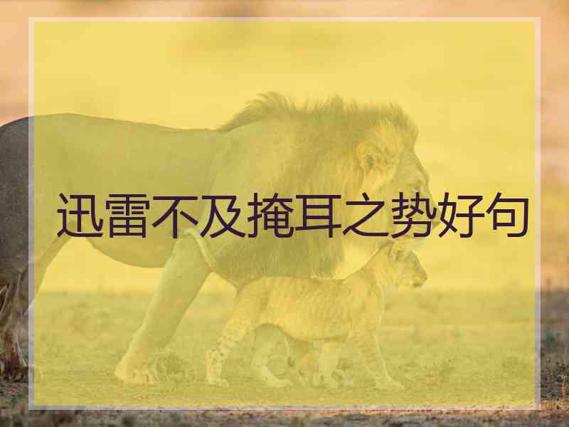 迅雷不及掩耳之势好句