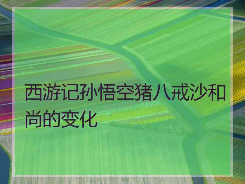 西游记孙悟空猪八戒沙和尚的变化