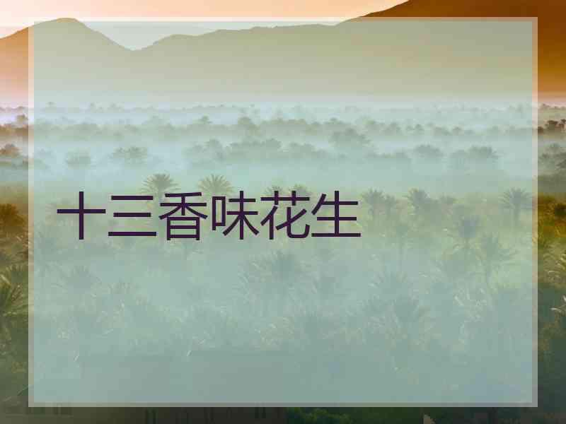 十三香味花生