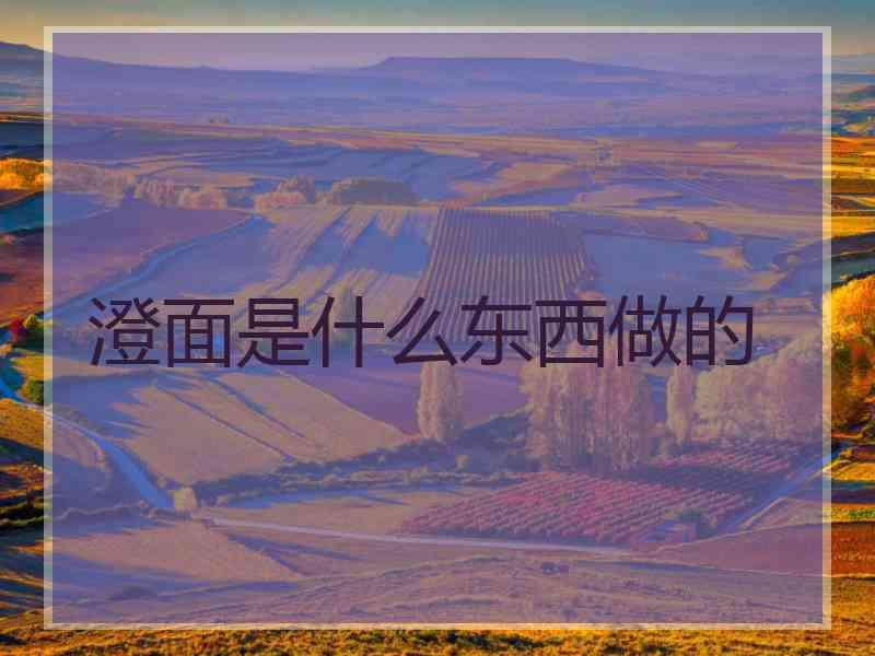 澄面是什么东西做的