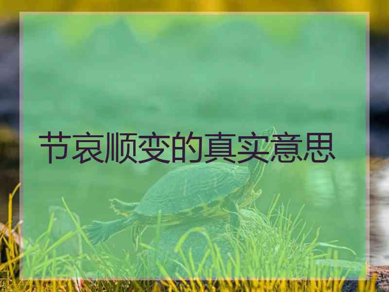 节哀顺变的真实意思