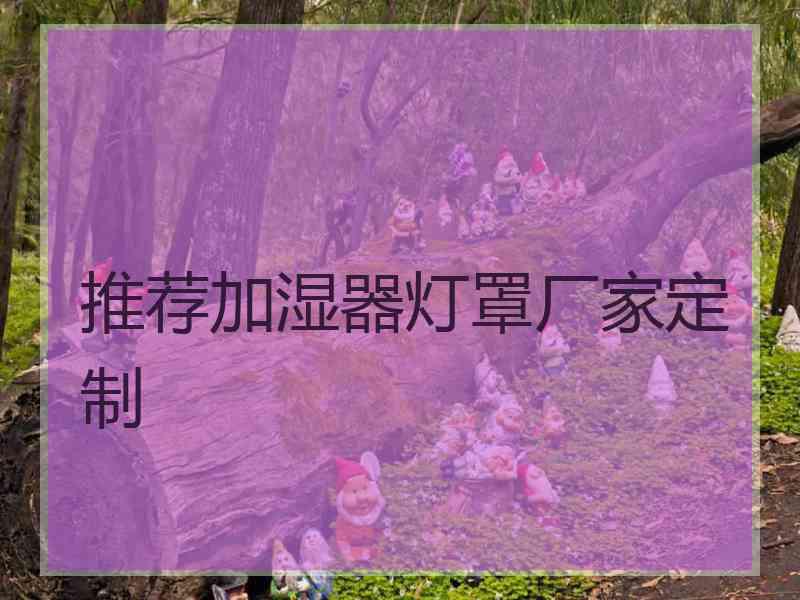 推荐加湿器灯罩厂家定制