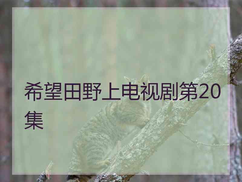 希望田野上电视剧第20集