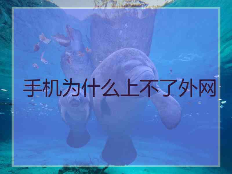 手机为什么上不了外网